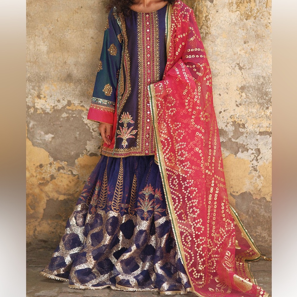 Elegant Multicolor Embroidered wedding dress